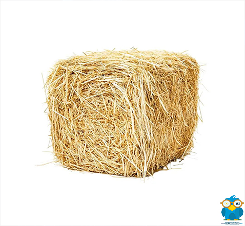 هوش مصنوعی نصیر